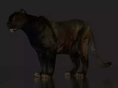 Black Panther 3D model  Low-poly 3D model