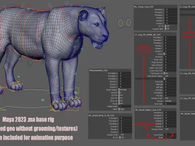 Lion Animated FUR UNREAL project  Maya base rig 3D model