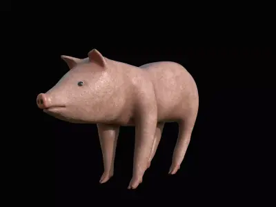 Pig animal 3D model purchase