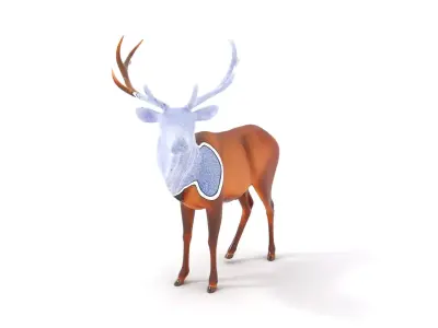 Majestic Stag model pack Low-poly 3D model