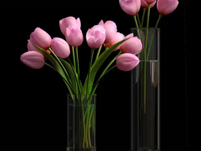 pink tulip set 5 3D model