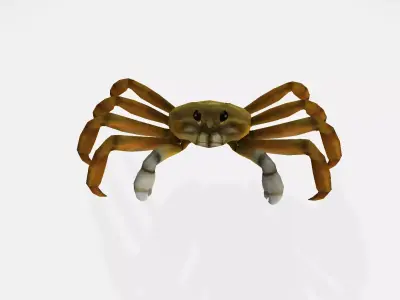 Crab 3d spider 3D model