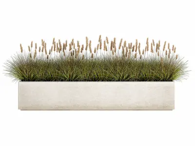 Potted reeds for landscaping 1075 3D model