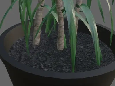 Vase with Plant - Dracena Low-poly 3D model