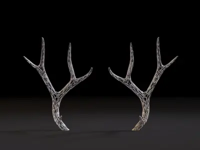 Deer horns 3D print model