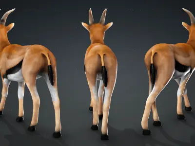 Deer with Animation 10 Low-poly 3D model