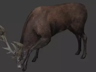 Deer 3D model optimized rigged animated game ready Low-poly 3D model