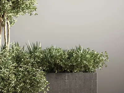 outdoor plant set 08 3D model