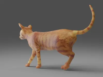Cat Yellow V3 NO Rigged  Low-poly 3D model