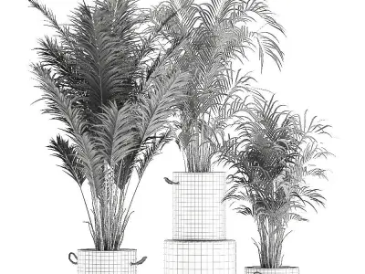 Decorative palm in a flowerpot 598 3D model