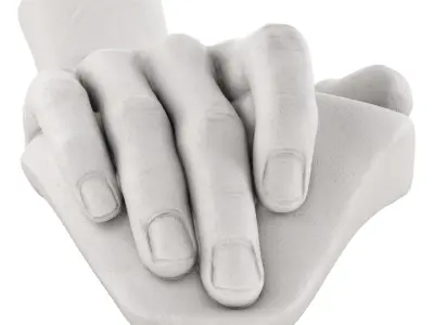 The Plaster Model of Davids Hand 3D model