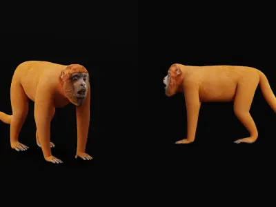 Howler Monkey Low-poly 3D model