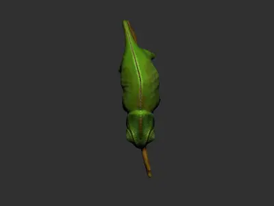 Veiled Chameleon - Hi-polygon 3D model