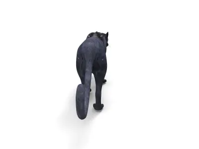 3d Wild Black Panther Rigged Model Low-poly 3D model