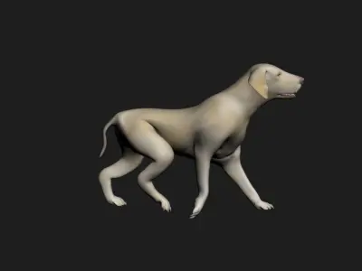 Dog rigged with muscle system and animation included 3D model