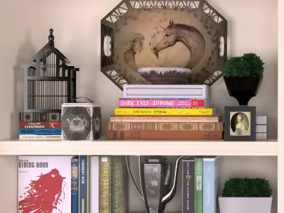 Decorative shelves 2 3D model