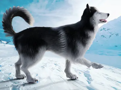 Fur Husky Rigged in Blender Low-poly 3D model
