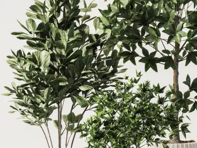  IndoorSetPlant058 3D model