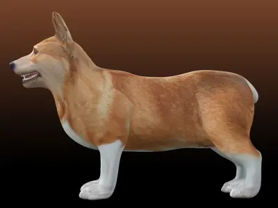 Corgi - Dog Low-poly 3D model