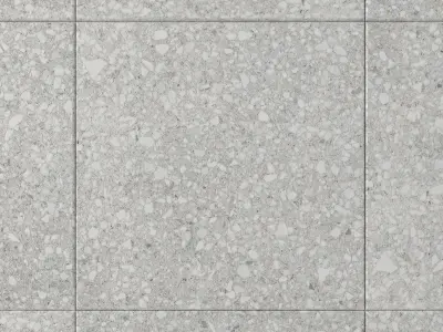 Stone Wall Tiles Terrazzo White 80x80 Texture
