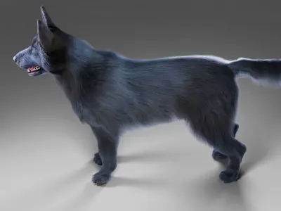 Fur Black Dog NO Rig Low-poly 3D model