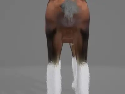 Horse Shire 3D model