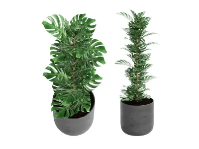 Indoor Plant 01 3D model purchase