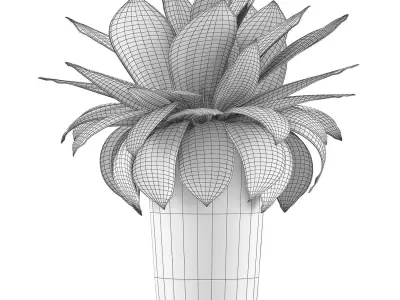 Plants Collection 78 3D model