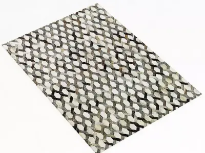 Restoration Hardware Link Cowhide Rug 3D model