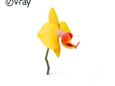 Orchid Flower Model Pack with PBR Textures Low-poly 3D model purchase