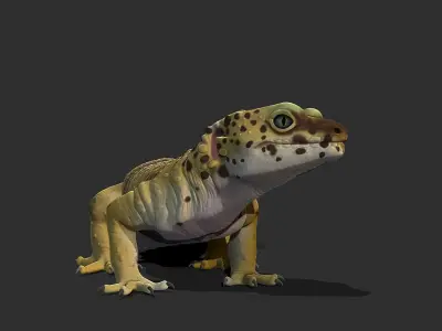 Leopard Gecko 3D model