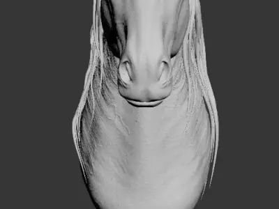 Horse 01 3D model