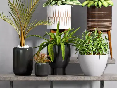 Decorative plant set-44 3D model