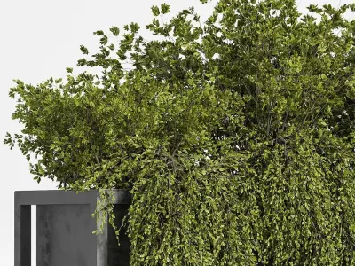 indoor plant set 07 3D model