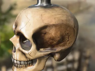 Skull Bottle Prop 3D model