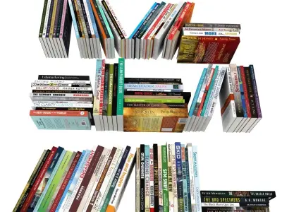 110 different books 2 3D model