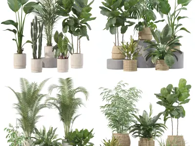 20 Photorealistic Flowers for Interiors - set 201 209 213 214 3D Model Collection