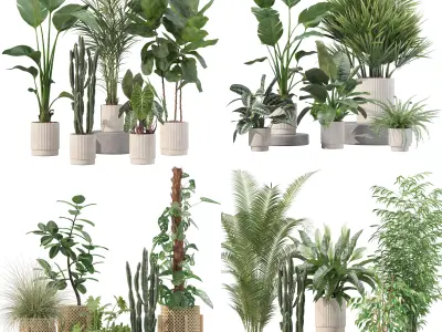 20 Photorealistic Flowers for Interiors - set 201 203 205 207 3D Model Collection