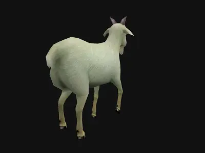 animated goat sheep Low-poly 3D model