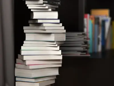 Novel collection books 3D model