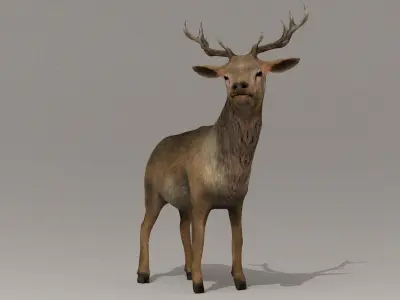 Game Ready Deer Model with antlers Low-poly 3D model