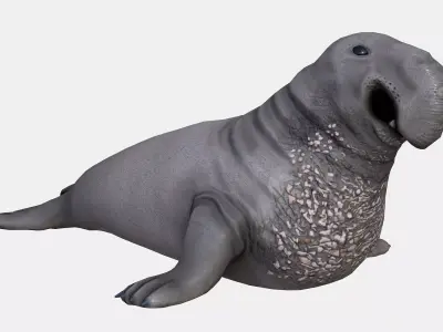 Elephant seal low poly Low-poly 3D model