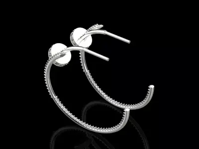 Earrings 10524 3D print model