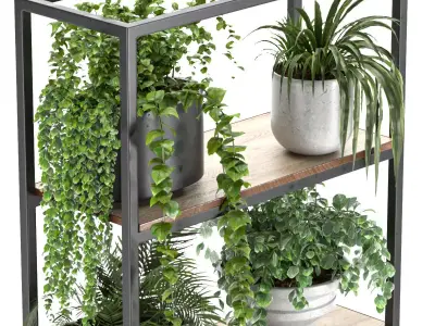 Metal Stand and Wooden Shelf Plant 3D model