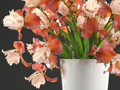 Flower bouquet iris 3D model