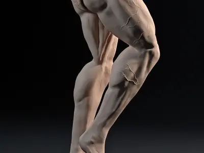 Bodybuilder Side Chest Pose 3D print model