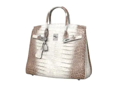 Hermes Birkin Bag Alligator White Low-poly 3D model