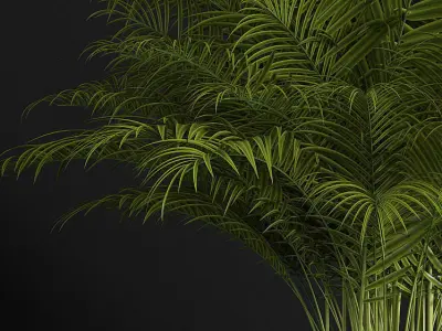 plants set 152 3D model