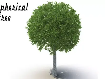 Spherical tree 3D model