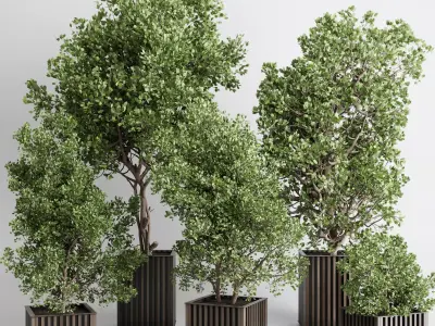 Indoor plant 480 wooden box dirt vase plant tree pot 3D model